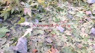 Российская ракета попала в жилой дом в центре Николаева (фото, видео)