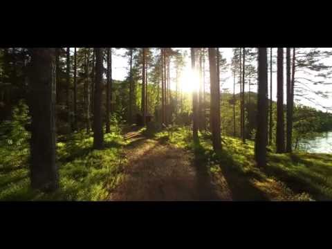 DJI Phantom 3 Professional - Swedish landscapes - 4K Video