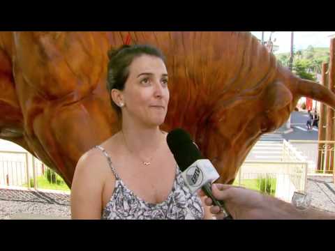 OURO FINO NO PROGRAMA MAIS CAMINHOS DA EPTV SUL DE MINAS