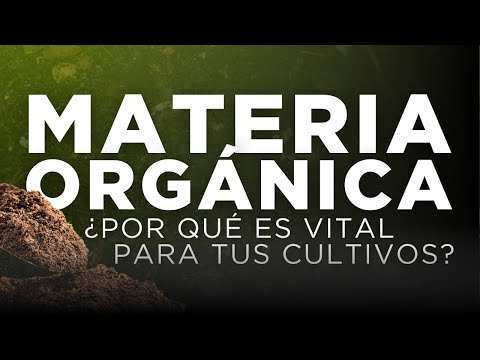 Materia orgánica: Claves para un suelo más saludable