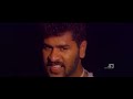 Samba Samba Love Birds Remastered Video HD