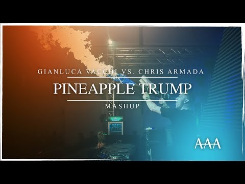 Gianluca Vacchi vs. Chris Armada - Pineapple Trump (Mashup)