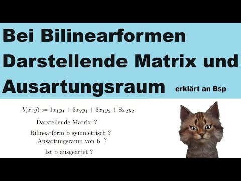 Determine the degeneracy space of a bilinear form (BNF). When is BNF degenerate?