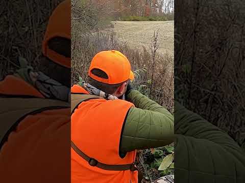 Winchester XPR Review: More than I expected