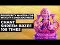 Prosperity Mantra For Wealth Consciousness | Chant Shreem Brzee 108 Times