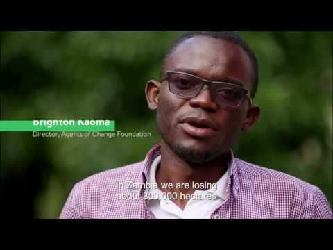 Beatrice - #Film4Climate Connect4Climate Special Award Sub-Saharan Africa Winner