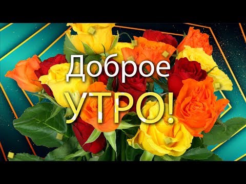 ✅Доброе утро! Эти прекрасные розы для тебя!✅Анимационная открытка 4К