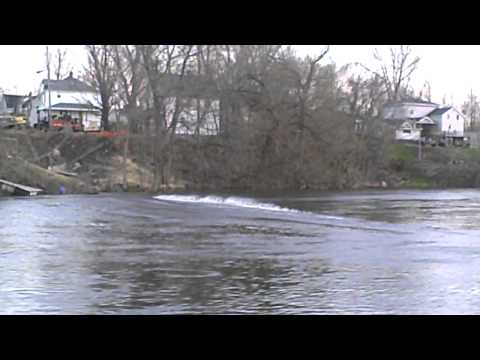 Giant Water Snake Monster