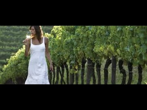 Tv7 con Voi sera del 28/01/2015 - Nuovo sviluppo per il territorio (5 di 6)