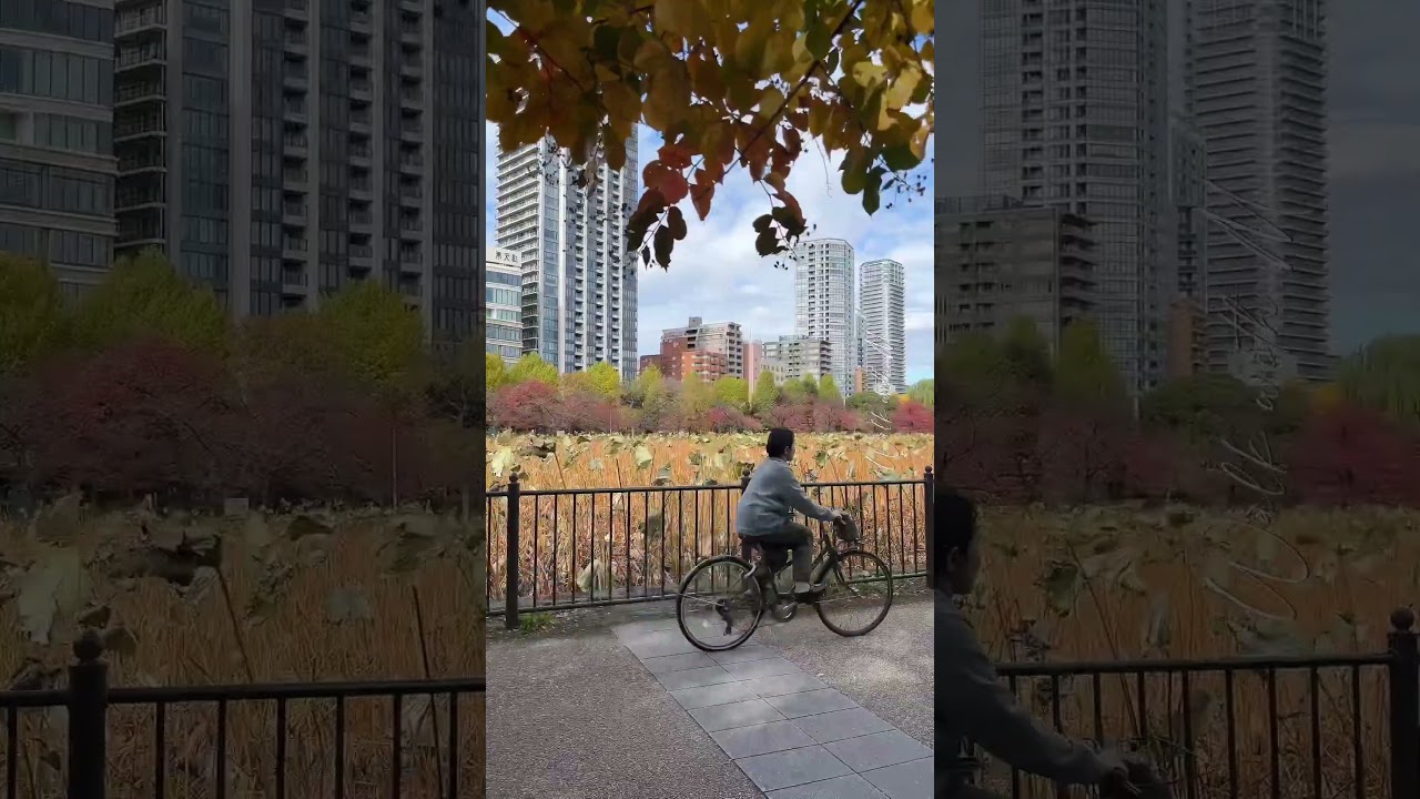 YouTube Short thumbnail