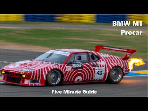 Lamborghini's BMW: BMW M1 Group 4/5 Procar - Five Minute Guide