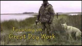 preview picture of video 'Gundog Hunting: The Praries of North Dakota Movie Trailer'