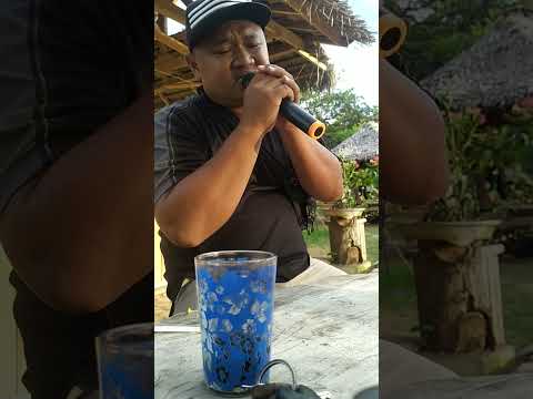 KOLAM BUAYA BERDENDANG ...