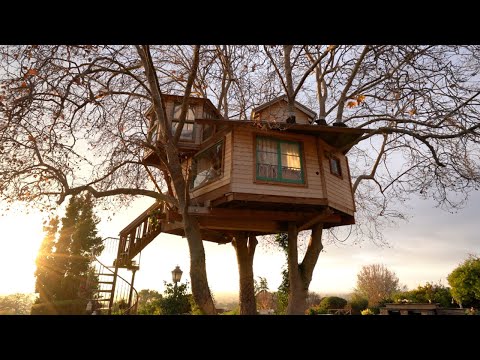image-How to decorate your backyard like a treehouse? 