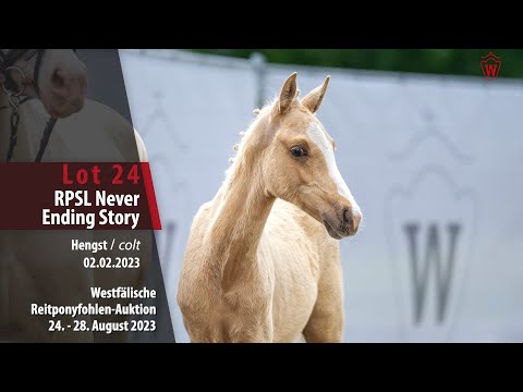 Reitponyfohlen-Auktion Lot  24 RPSL Never Ending Story Hengst v. Neverland WE - FS Calimero