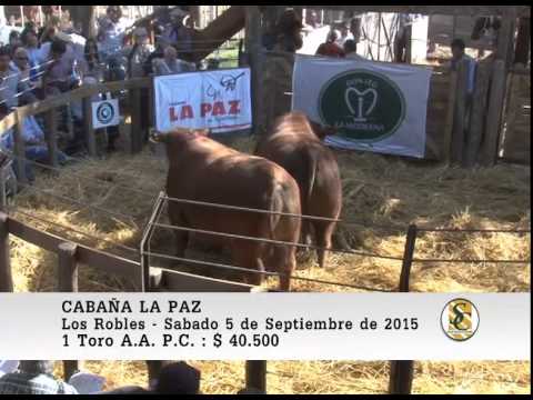 05-09-15 Venta de Toros P.C. y P.R. - Cabaña La Paz - Los Robles.
