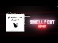 Smelly Cat - Acoustic Cover | Phoebe Buffay | Shishir Bhanot | A Tribute to PHOEBE BUFFAY!