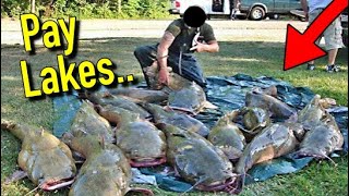 The TRUTH about Fishing PAY LAKES!