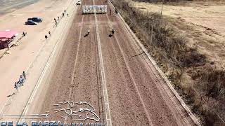 EL NOMADA VS EL DON CHIVIS 225 VARAS AVALOS RACE TRACK CHIHUAHUA 24 DE FEBRERO DEL 2019