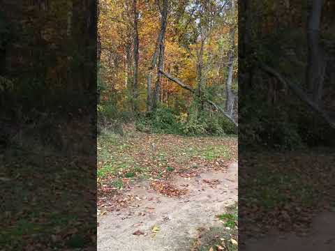 A Nice Comfortable Grip