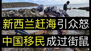 新西兰赶海引众怒，中国移民成过街老鼠。小红书上流传着新西兰海鲜免费吃，大量华人开启绝户型赶海。尽管中国政府努力宣传国外不好，然而中国润的却越来越多。世界准备好了吗（单口相声嘚啵嘚之新西兰华人被声讨 ）