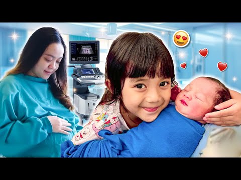 SAMANTHA PUNYA ADEK BARU 😱 KOMPILASI 1 JAM MAMA HAMIL SAMPAI MELAHIRKAN PUNYA ADIK BAYI