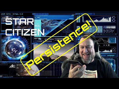 STAR CITIZEN - IS PERSISTENCE BAD?