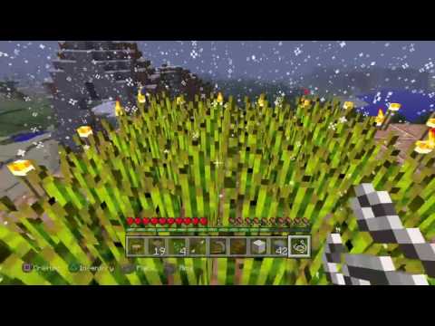 Happy birthday Kayleigh \^-^X^_^/ part2