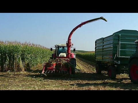 Maishäckseln 2016 - Pöttinger MEX 5, Steyr CVT 6195