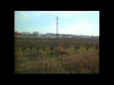 E444  Tartaruga in Romagna - 01