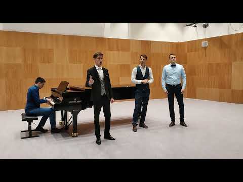 "My Way"- Tri tenora: Branimir Ljubojević, Marko Radišić i Robert Hip