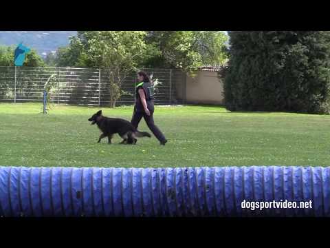 1. DMV Championat - Katerina Hasourkova - Edmont Gymor