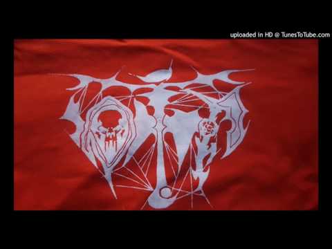 OTF - Zaridaina miafina (DMOR-B - ORIONE)