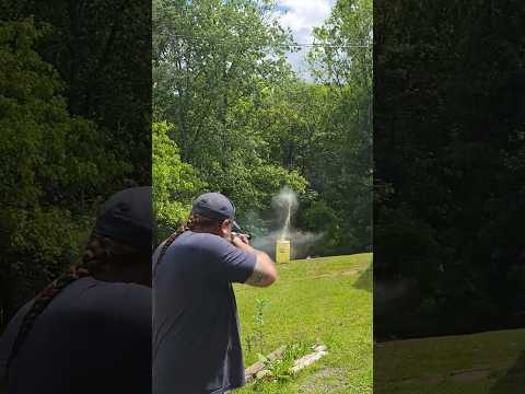 savage 110 brush hunter 338 winchester magnum review