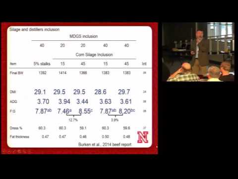 Feeding programs that include corn silage for...