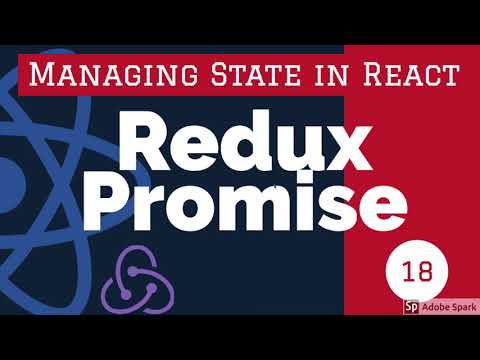 Redux Thunk and Redux Promises 18