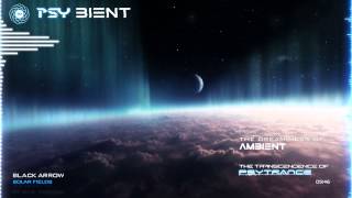 Solar Fields - Black Arrow