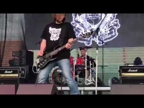 Drive Your Life - "Warriors" - Live - 09.06.2017