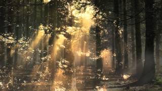 Declan (Jeff Beck), played by David Carlin