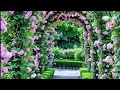 Surah Al Fajr Al Fajr Tilawat Full Miracle Garden Dubai 2024 The World Largest Natural Flower