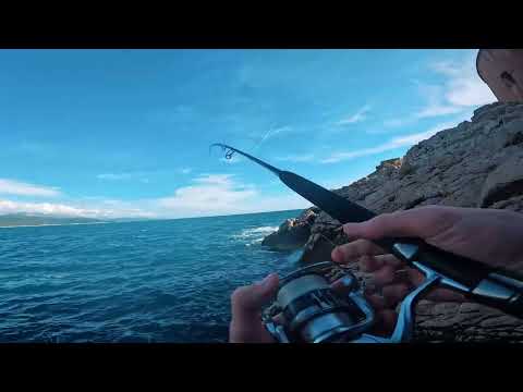 Shore jigging - Too small AND TOO BIG (tuna strike)