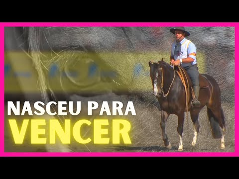 CAMPANA VICUÑA sobreviveu a um grave acidente e venceu o FREIO DE OURO!