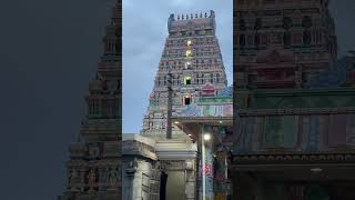 Download lagu Karamadai Ranganathar #blessings #prayer #divine #vishnu #karamadai #temple #miracle mp3 Download lagu Karamadai Ranganathar #blessings #prayer #divine #vishnu #karamadai #temple #miracle mp3