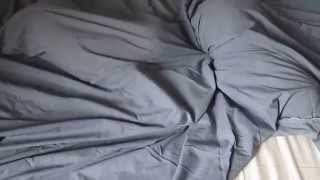 Die Geister die ich rief