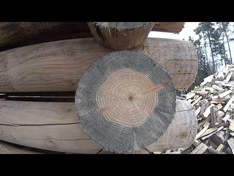 Metsolan metsäkoulu 152 - Männyn sydänpuu - luontainen kestopuu