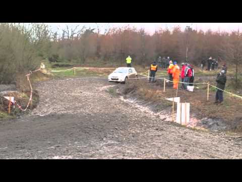 Wyedean Rally 2013 - Ford Focus WRC