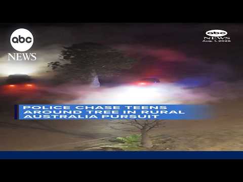 Police chase suspects in circles around tree in bizarre pursuit