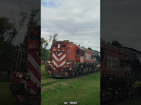 FEPSA 6631 #shorts #reels #tren #train #gr12w #fepsa #6631 #fypシ #railway #railfan #vias #dia