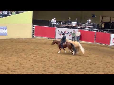 Luke Gingerich, Rio and Chloe team liberty performance at Road To The Horse 2023