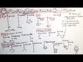 The 20 Amino Acids - One Minute Medical School ...